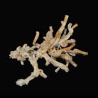 {relatedProduct.title}