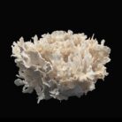 {relatedProduct.title}