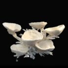 {relatedProduct.title}