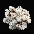 {relatedProduct.title}