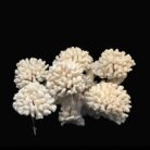 {relatedProduct.title}