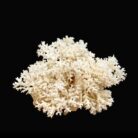 {relatedProduct.title}