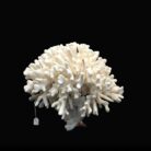 {relatedProduct.title}