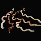 {relatedProduct.title}