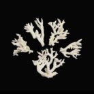 {relatedProduct.title}