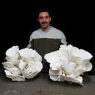 {relatedProduct.title}